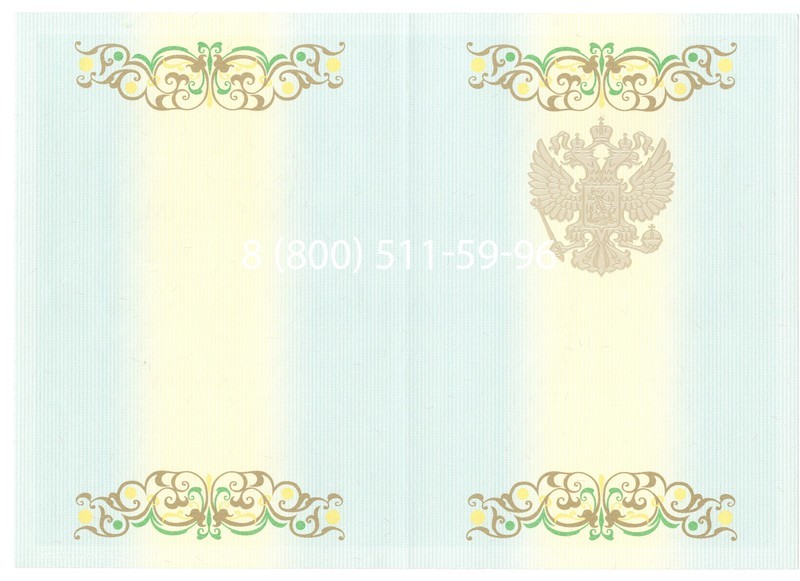 Купить Диплом бакалавра 2012-2013 годов в Рязани