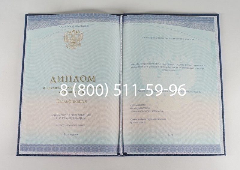 Диплом колледжа (Спецбланк) 2014-2024 года в Рязани